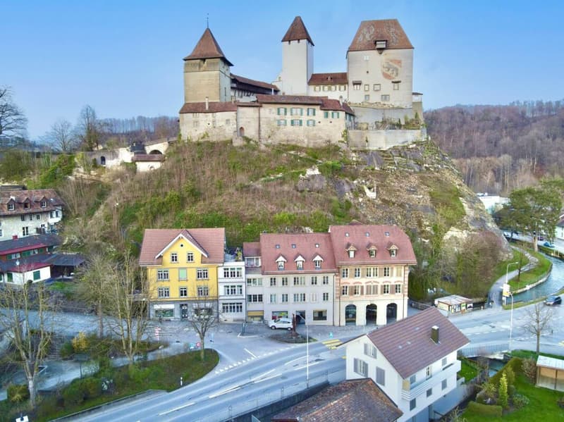 CHARMANTES MEHRFAMILIENHAUS IN BURGDORF (1)