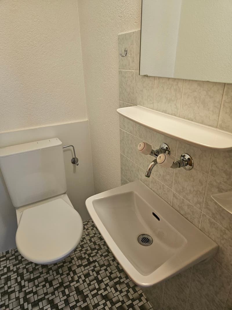 Charmante 4-Zimmer-Wohnung in Erlenbach im Simmental (12)