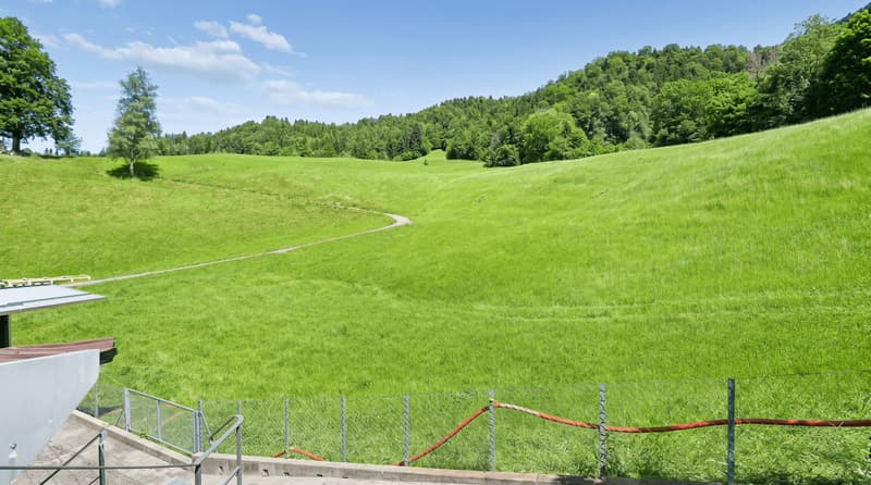 Logenplatz am Ägerisee: grandiose Seesicht und 129 m² Balkon-/Aussenfläche (13)