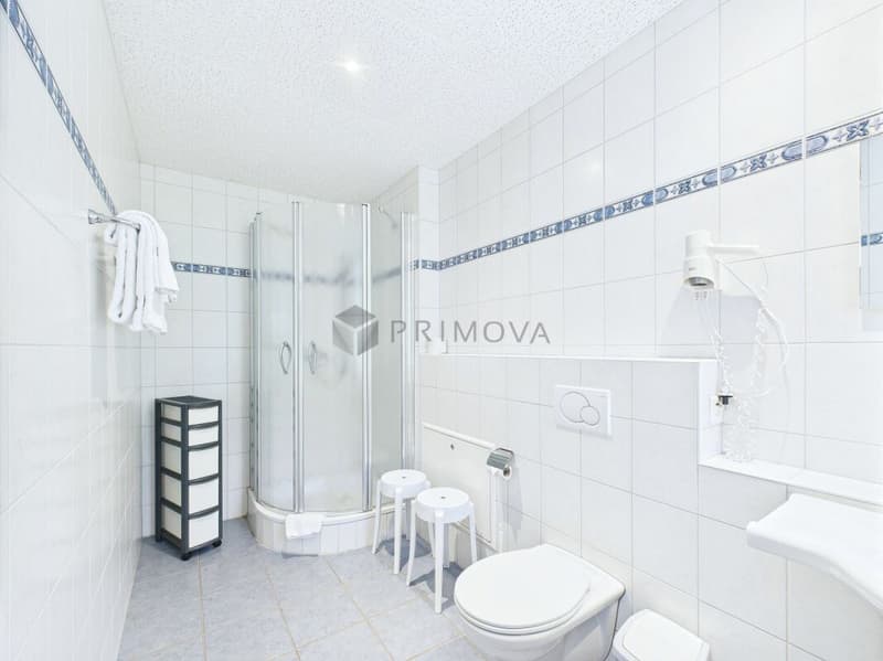 Hotel & Restaurant mit Einliegerwohnungen, Rebberg und Bauland in Premiumlage am Walensee (20)