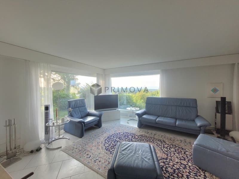 Stylish living with lake view and private garden (4)