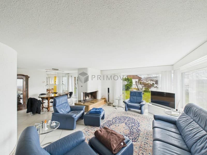 Stylish living with lake view and private garden (5)