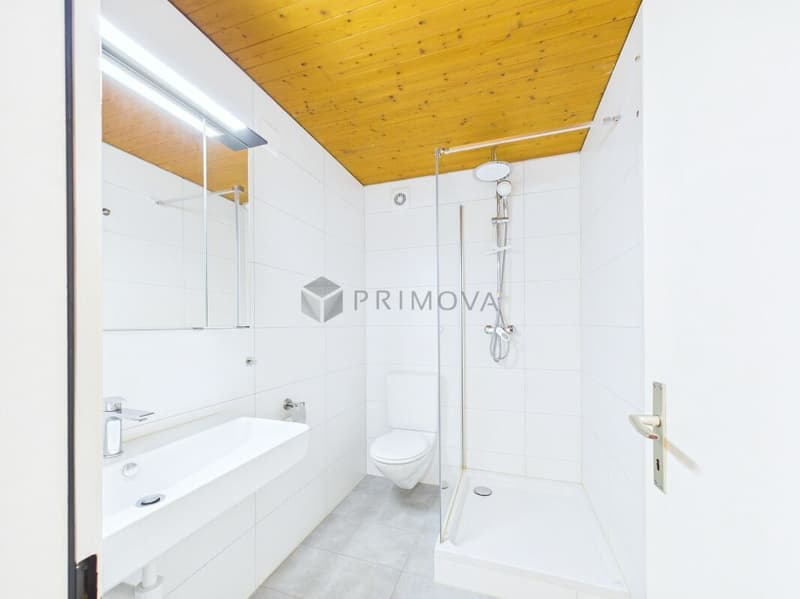 Zentral-Invest Burgdorf (4)