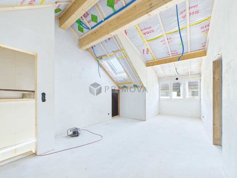 Créer au lieu de compromettre - votre maison entièrement conçue selon vos idées (7)
