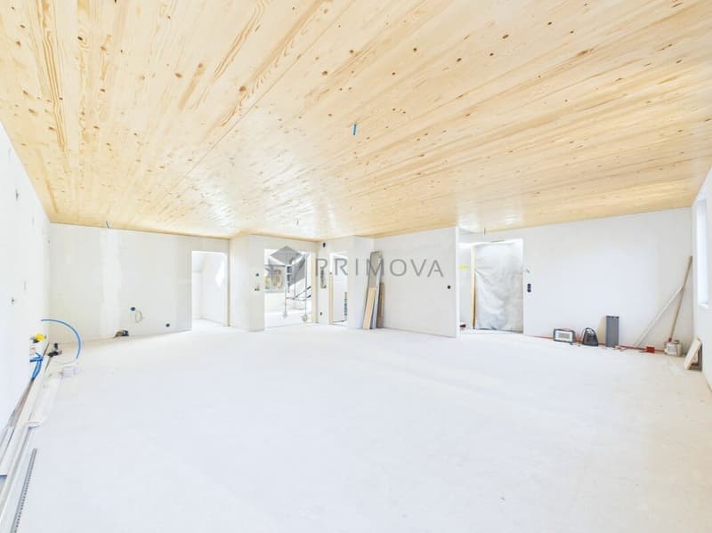 Créer au lieu de compromettre - votre maison entièrement conçue selon vos idées (4)