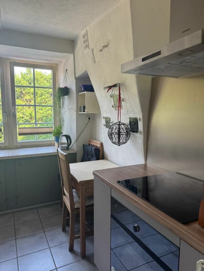 Wohnen mit Charakter - stilvolle 6.5 Zimmer Wohnung am Zürichsee (5)