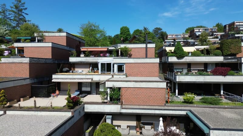 Modernisiertes Terrassen-Bijou (10)