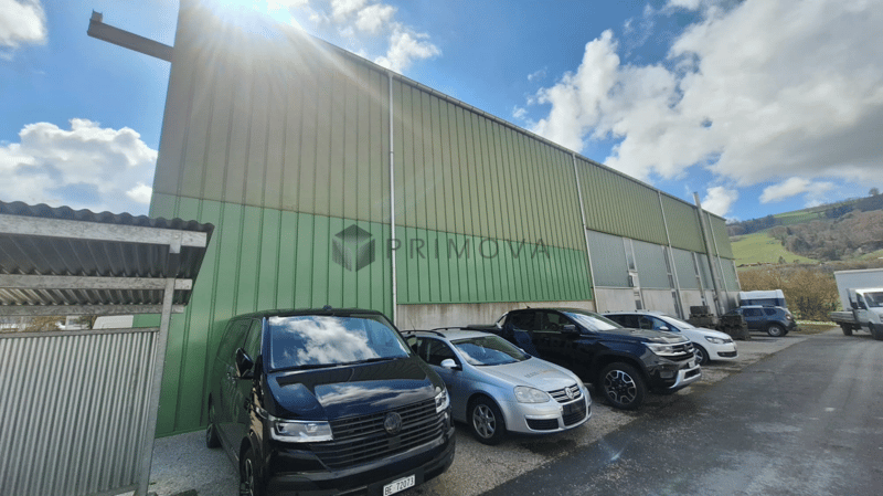 Gewerbehalle mit Aussenfläche - ideal für Logistik und Transport (4)