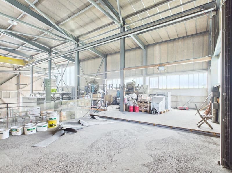 Gewerbehalle mit Aussenfläche - ideal für Logistik und Transport (9)