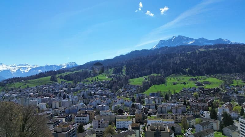 Wohnjuwel am Sonnenberg - die Doppeleinfamilienhaushälfte mit Blick auf den Pilatus (15)