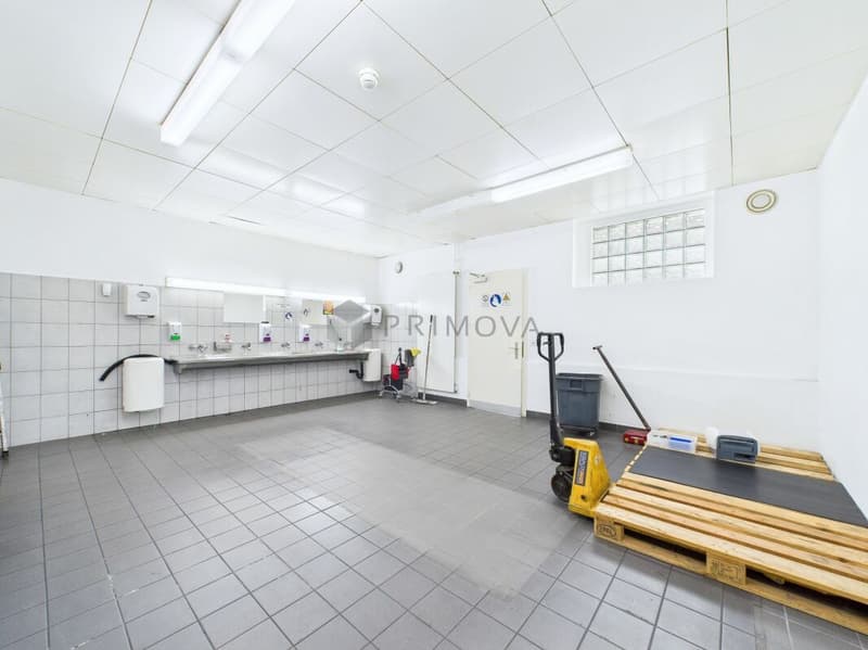 Viel Raum, viele Möglichkeiten - Gewerbeliegenschaft mit Bodensee-Charme (11)