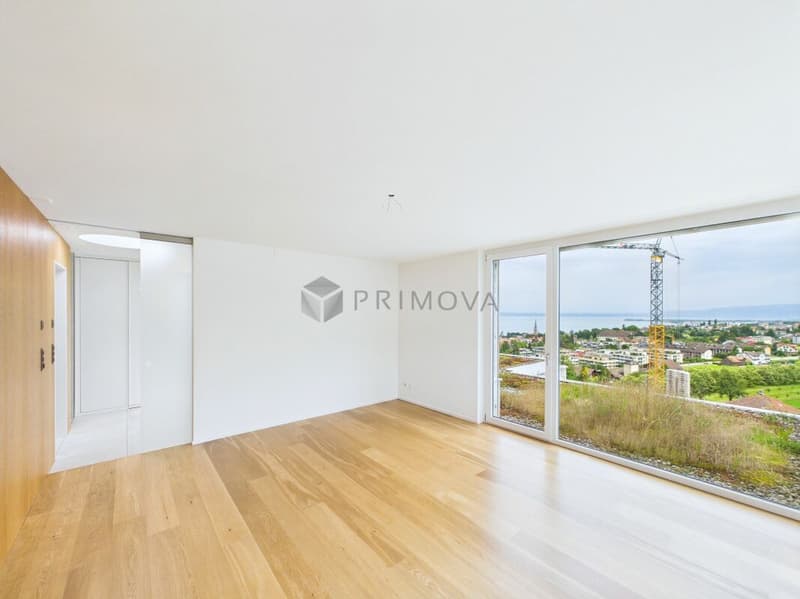 Exklusive Attikawohnung mit Panoramasicht auf den Bodensee (8)