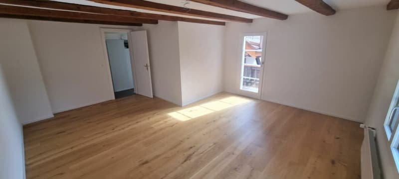 Totalsaniertes Mehrfamilienhaus mit 4 Wohneinheiten (9)