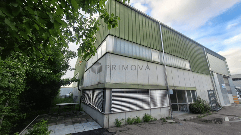 Gewerbehalle mit Aussenfläche - ideal für Logistik und Transport (5)