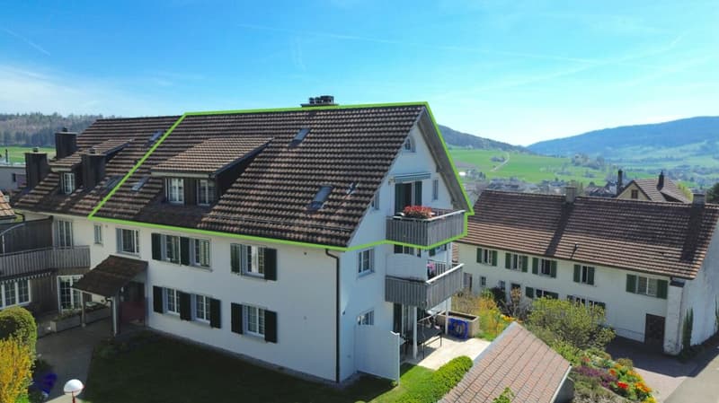 Lichtdurchflutete Maisonette mit Stil, Charme und traumhafter Aussicht (13)