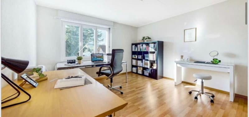Spannendes Projekt aus Mehrfamilienhaus und grossem Gartenanteil als Baulandreserve (5)