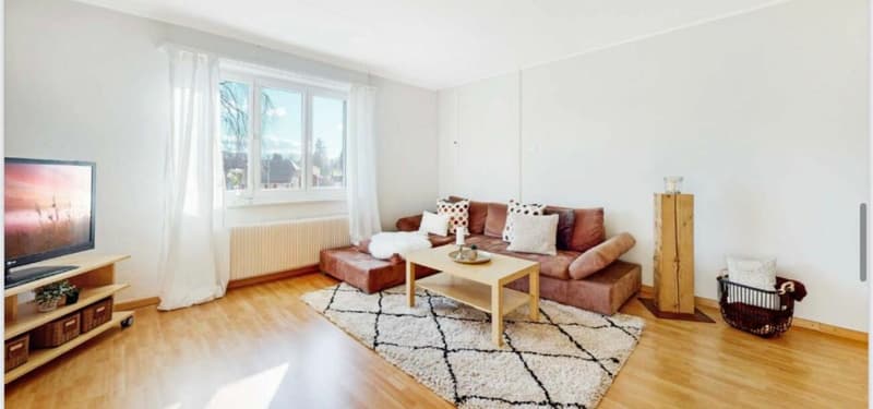 Spannendes Projekt aus Mehrfamilienhaus und grossem Gartenanteil als Baulandreserve (9)