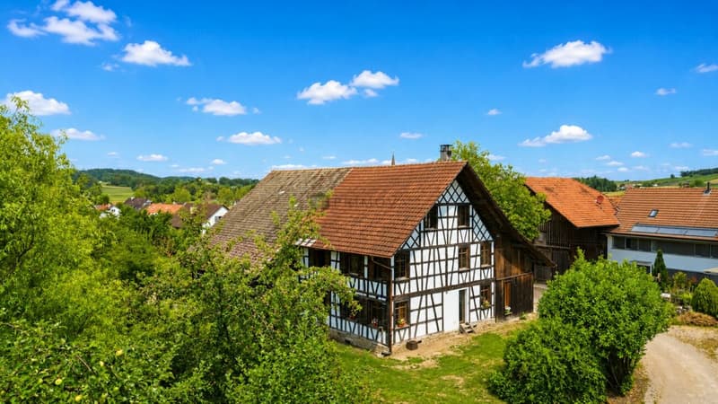Historisches Fachwerkhaus auf 1'706 m² Grundstück mit Entwicklungspotenzial (1)