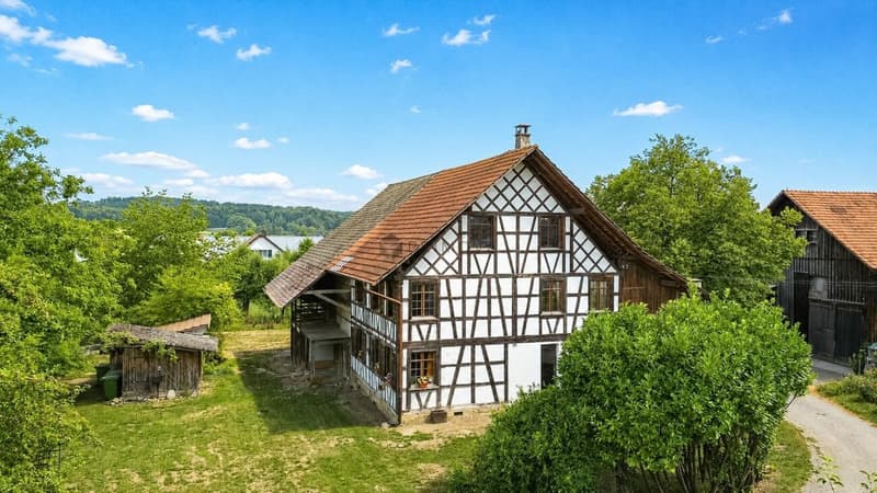 Historisches Fachwerkhaus auf 1'706 m² Grundstück mit Entwicklungspotenzial (3)
