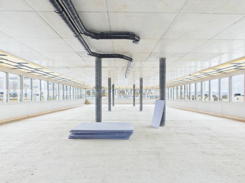 Zentrumsentwicklung Diepoldsau: Raum für Ihre Visionen - Bezugsbereit Sommer 2026! (11)
