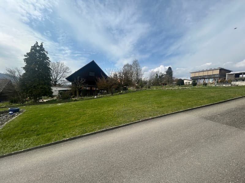 Luxuriöses Einfamilienhaus an begehrter Aare-Lage (2)