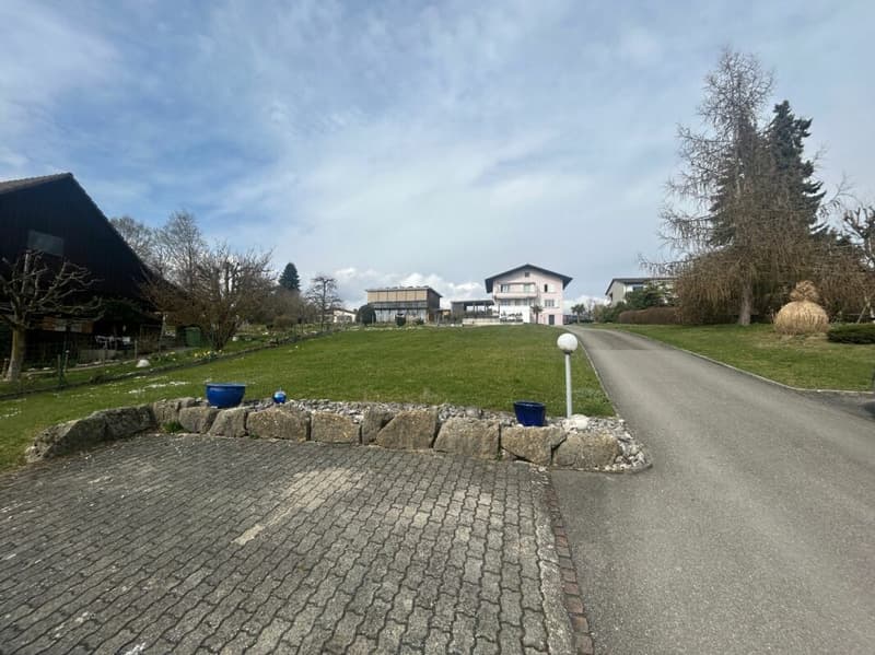 Luxuriöses Einfamilienhaus an begehrter Aare-Lage (3)