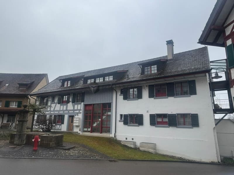 Historisches Mehrfamilienhaus mit Charme und Entwicklungspotenzial (2)