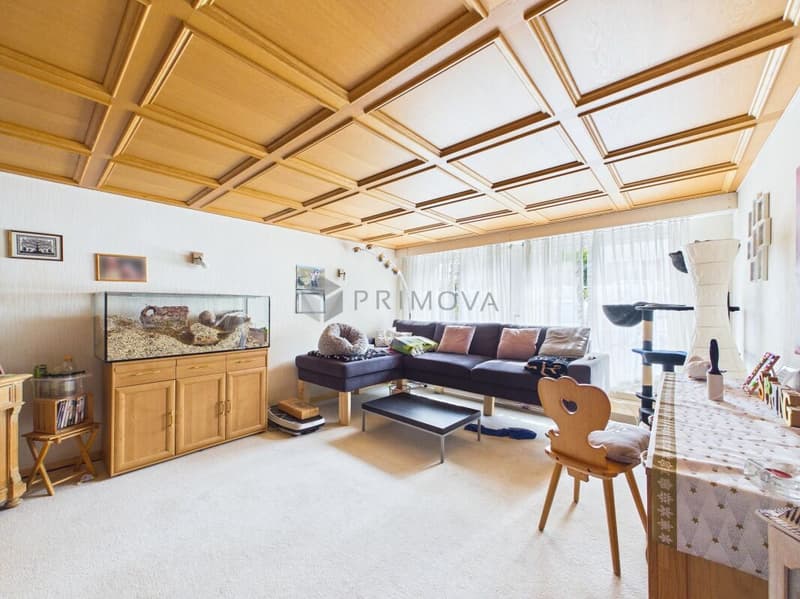 Familienfreundliches 5.5 Zimmer-Reihenhaus mit viel Platz und sonnigem Aussenbereich (5)