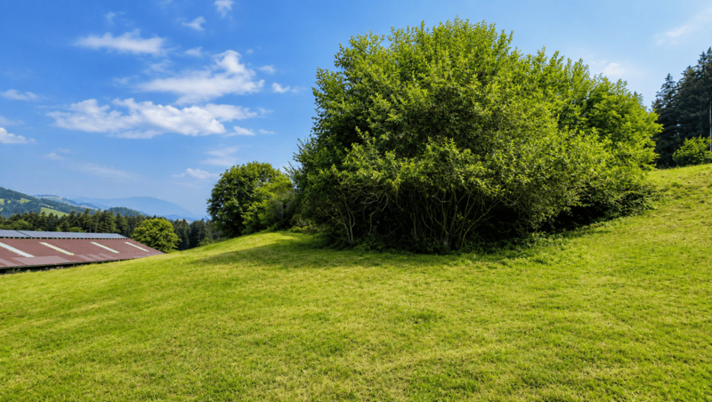 Traumhafte Aussicht, sonnige Lage und viel Potenzial in Speicher (1)