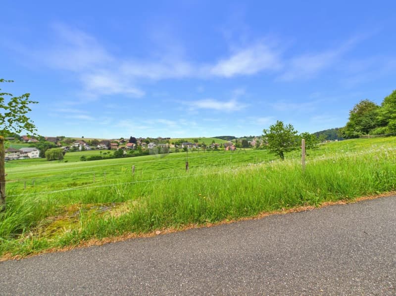 Platzwunder in Grasswil mit 4.5 Zimmern und zusätzlich 160 m² vorbereitetem Dachstock (9)