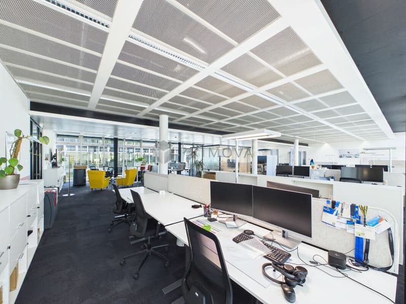 Moderne Bürofläche an attraktiver Lage in Zürich-Oerlikon (9)