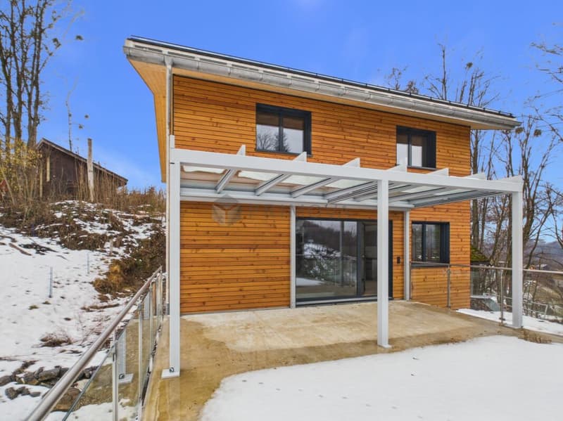 Stilvolles Neubauhaus mit Gartenbereich, Terrasse und Doppelgarage (13)