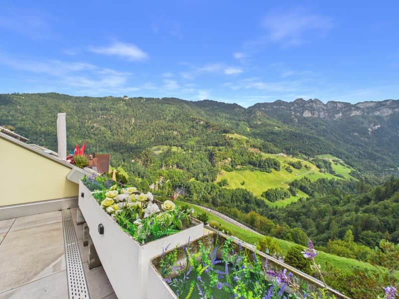 Bergkino inklusive - Wohnen mit Aussicht (1)