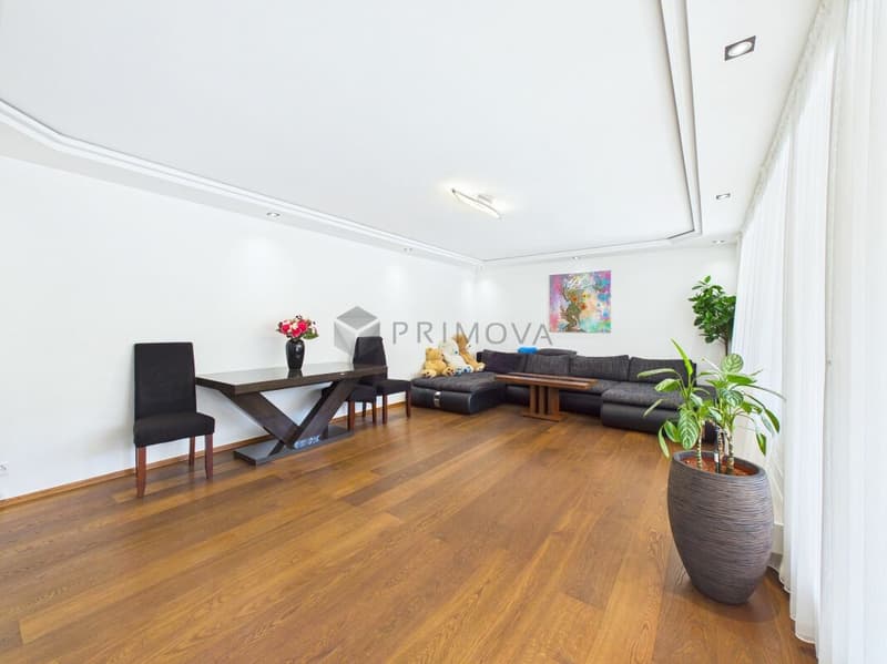 Modernisiertes Terrassen-Bijou (3)