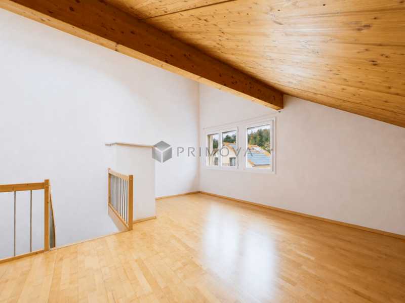Grosszügiges Haus mit sonnigem Aussenbereich in Wald (7)