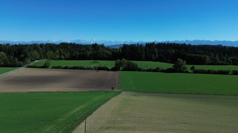 Exklusives Wohndomizil mit Aussenpool, grosser Parzelle und Panorama-Weitsicht in Meikirch (12)