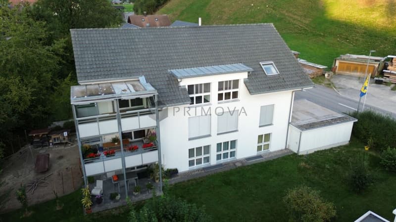 Grosszügiges Wohnen im Dachgeschoss (13)
