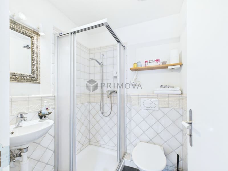 Traumhaftes Stadthaus im beliebten Basler Gundeli-Quartier (9)