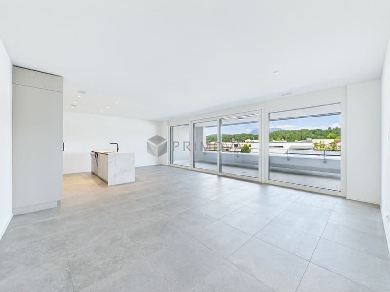 Neuwertige Traumwohnung mit XXL-Terrasse (2)