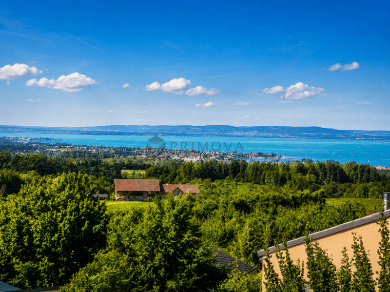 Exklusives Wohnen mit unverbaubarem Panoramablick auf den Bodensee (8)