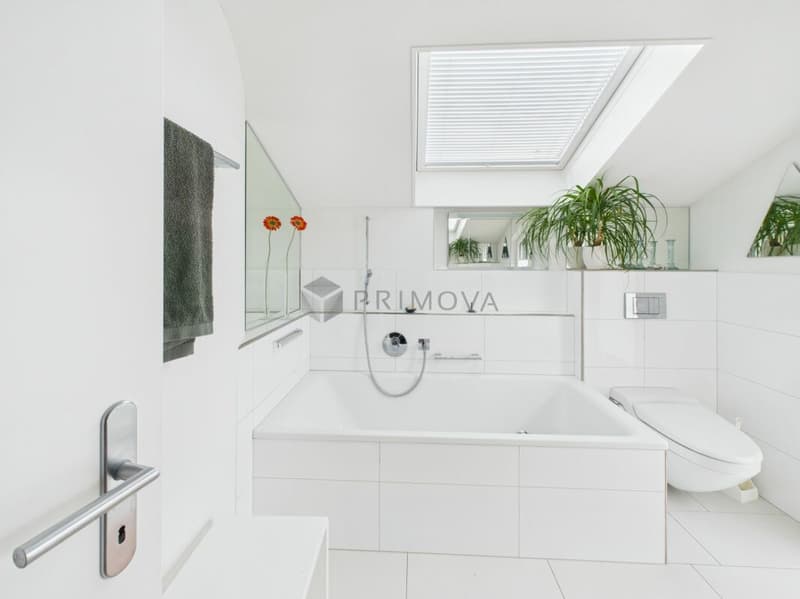 Exklusives Wohnen mit unverbaubarem Panoramablick auf den Bodensee (3)