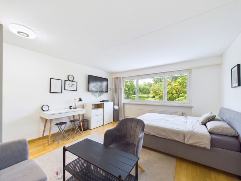 Attraktive 2.5 Zimmer-Wohnung - ideal zur Eigennutzung oder als Anlage (3)