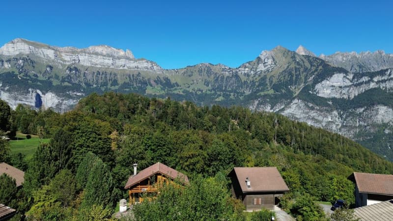 Bijou - Chalet in Flums-Flumserberg (1)