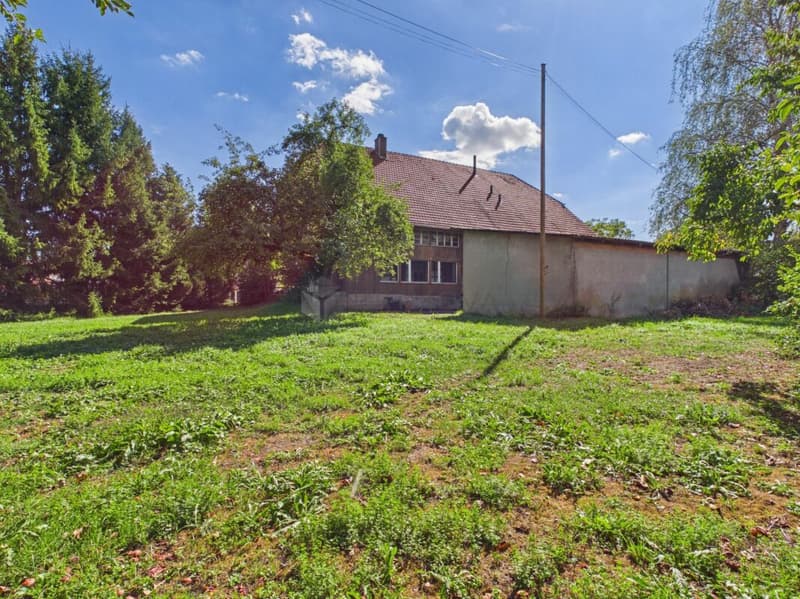 Gepflegtes Bauernhaus mit grosser Baulandreserve im schönen Seeland (3)