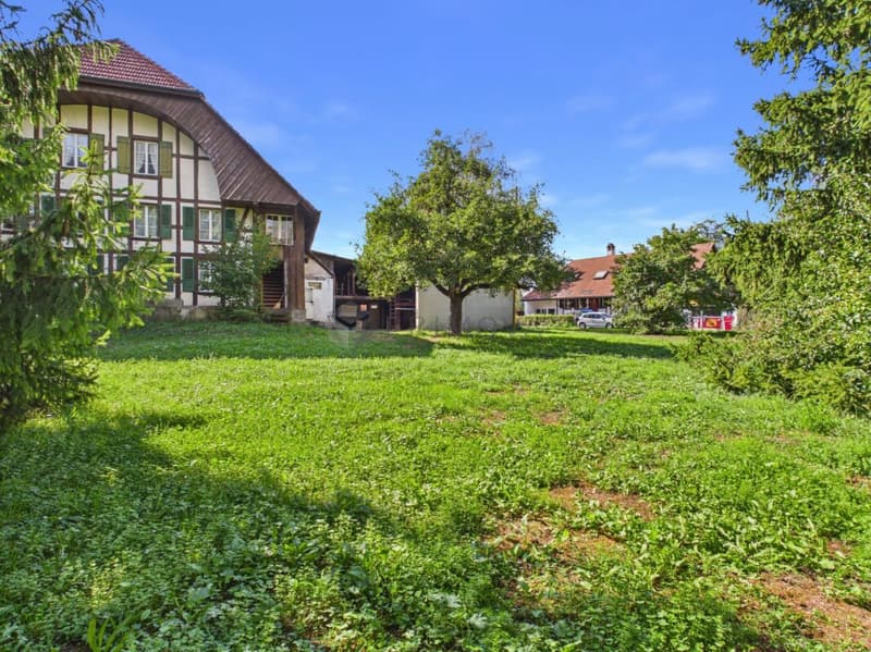 Gepflegtes Bauernhaus mit grosser Baulandreserve im schönen Seeland (5)
