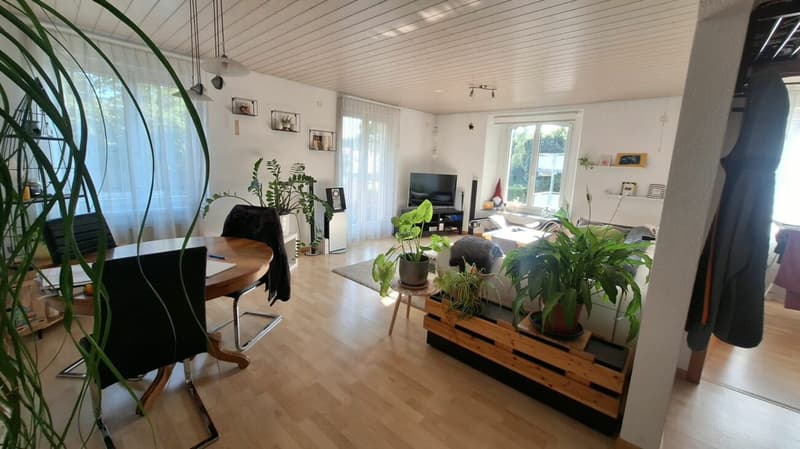Drei-Familienhaus mit grosser Garage/Werkstatt (14)