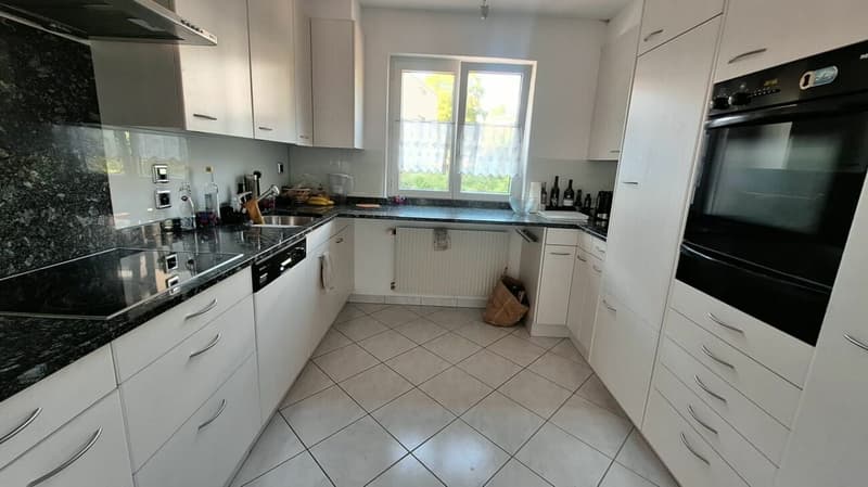 Drei-Familienhaus mit grosser Garage/Werkstatt (6)