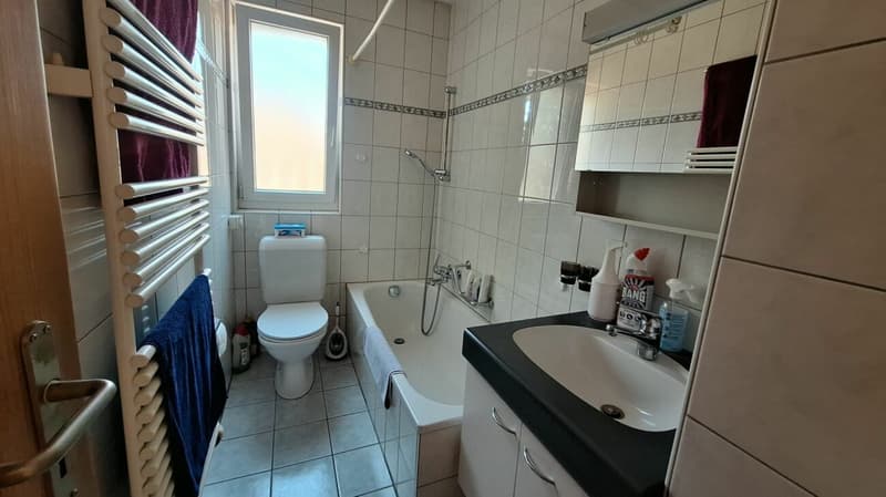 Drei-Familienhaus mit grosser Garage/Werkstatt (10)