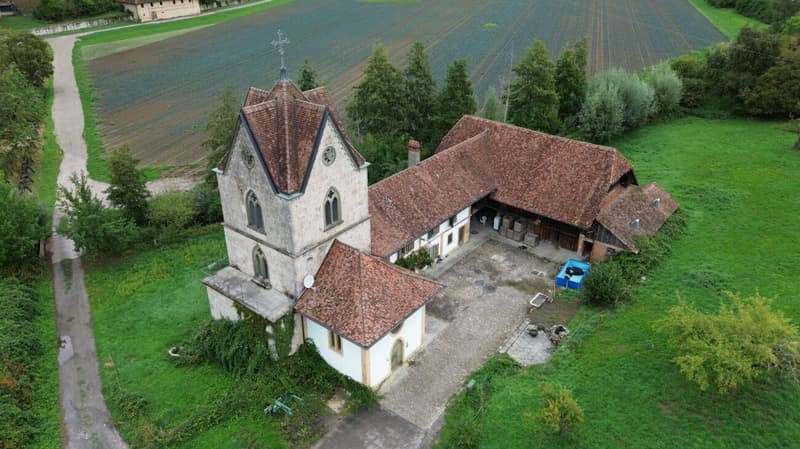 Eine Liebeserklärung mit Potenzial: Historisch wohnen und arbeiten am Murtensee. (12)
