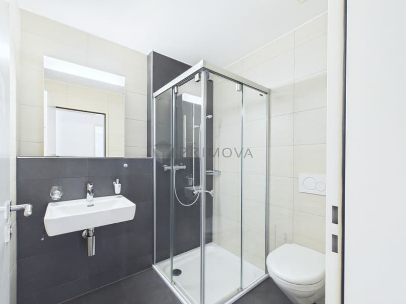 Hochwertig renovierte 4.5 Zimmer-Wohnung mit sonniger Südterrasse in Trimmis (11)